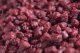 0,75kg MIVARDI METHOD PELLETS 2,8mm FishFood Feederpellets Cherry & Fish Protein