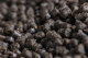0,75kg MIVARDI METHOD PELLETS 2,8mm FishFood Feederpellets Black Halibut