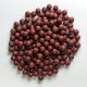 3,3kg "MIVARDI EASY CATCH SQUID" fischige 20mm Boilie Carp Bait Karpfenköder