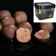4kg BAIT-FARM 17mm Premium Carp Bait Balls Boilie SPICED BOMB im Bait Bucket