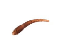 6 x  DELPHIN WORM Aligner Hair Rig Sleeves Wurm Optik
