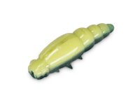 15x DELPHIN VOGON 4cm Wespenlarve Bienenmade...