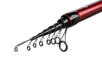 MFT 400 HI-Modulus Carbon BOLO Bologneserute beringte...